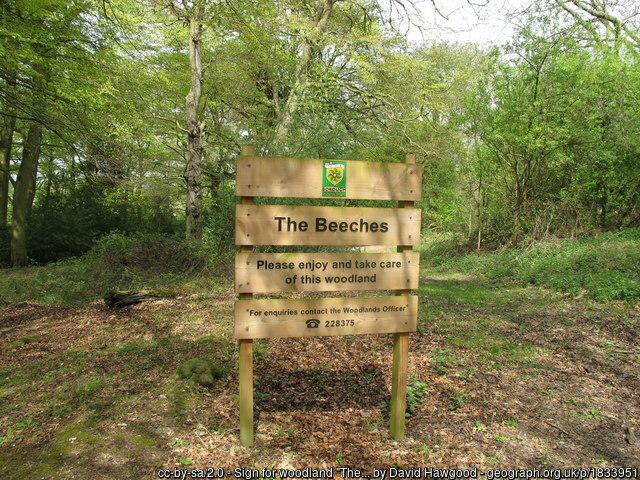 The Beeches, Northchurch Common